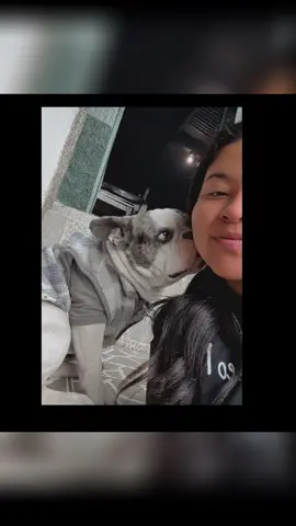 #cute #parati #LIVEIncentiveProgram #LIVEStory #PaidPartnership 