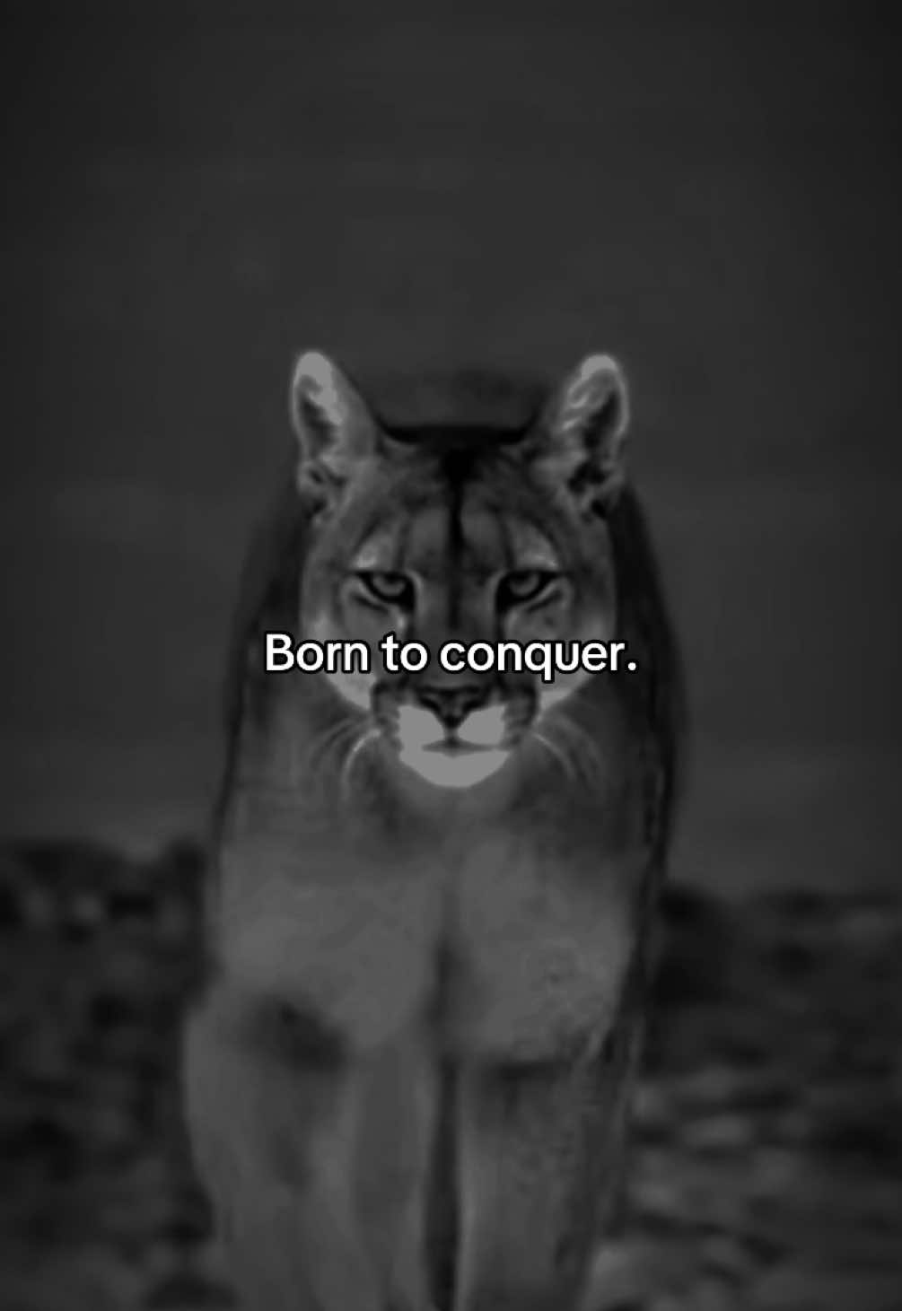 Real. #youvsyou #brickbybrick #disciplined #stayhard 