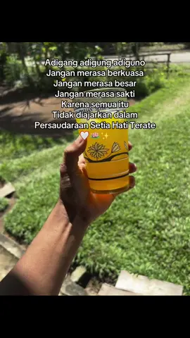 Jadilah pendekar yang sabar bermanfaat dan rendah hati karena kita adalah setia hati 🥰 #pshtstory #storypsht #pshtpusatmadiun #pshtmusirawas #tubagusagung 