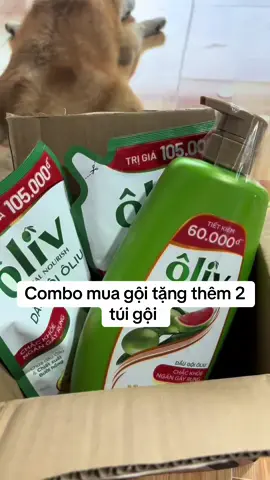 Ê hề luôn mấy c 😘😘#xhtiktok #xh #daugoi 