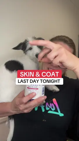 #dog #chew #tiktokshop 