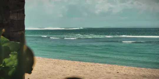 beach . . . #fyp #fypシ #foryoupage 