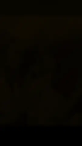 phát hiện 1 chiếc embe 2,5 tháng tuổi cười siêu xinhh💖#HANSARA #HanSara #WeloveHanSara #xhhhh #viraltiktok 