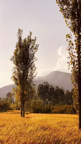 Ghani khan baba ❤️🥀🥺#deartiktokteampleseunderrevivwmyvideo #foryoupagе #standwithkasmir #fyp #vireltiktokvideoplease 