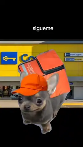 #viral #rrapi #uber #didi #motos #coppel 