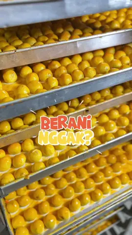 Berani nggak? #nastar #tuffero #nastarsultan 