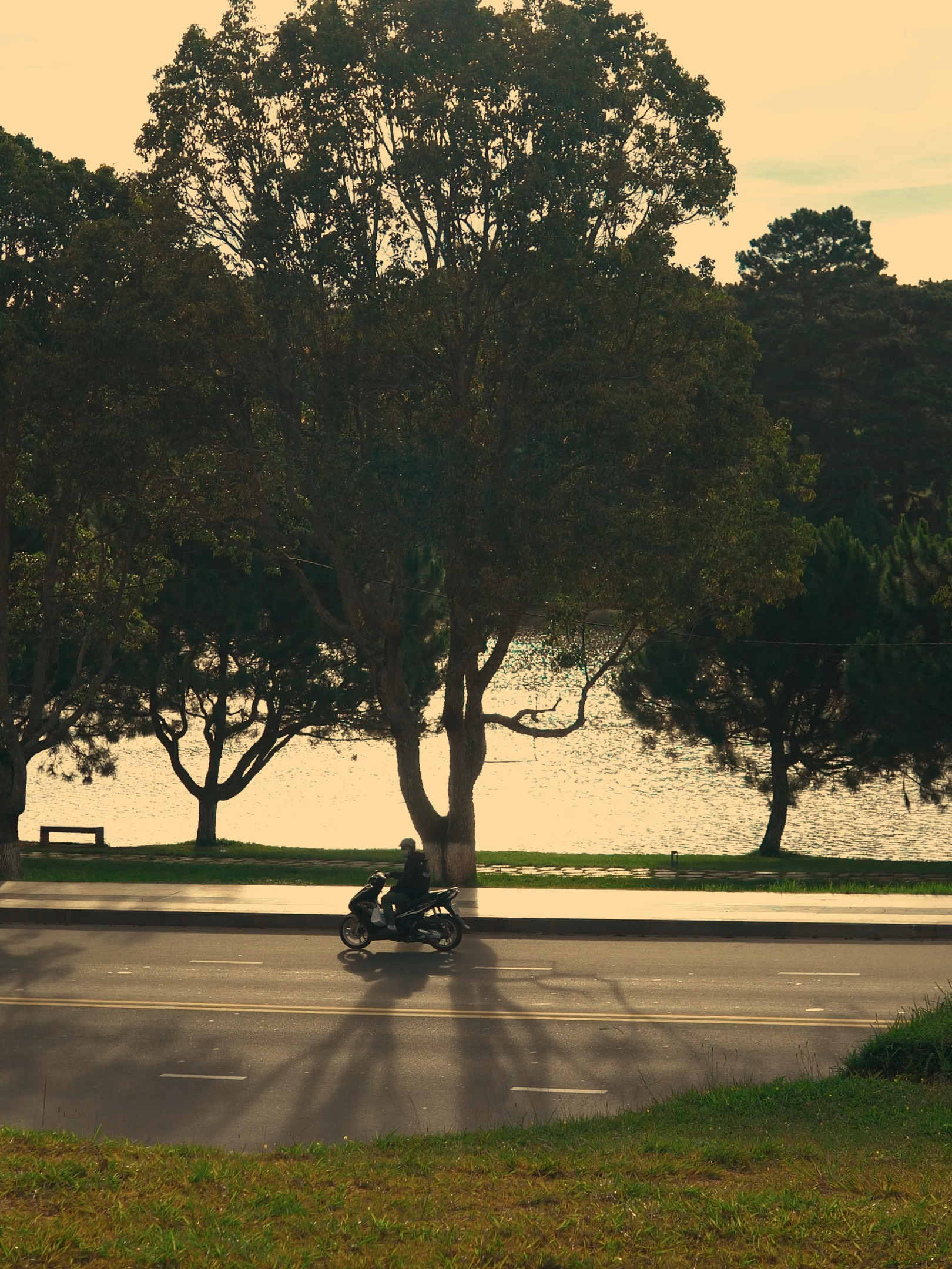 Mùa thu đến rồi, em có đến cùng mùa thu không? #sony #sonyalpha #cinematic #travel #dalat #muathu
