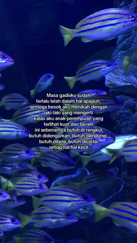 Aamin yaaa