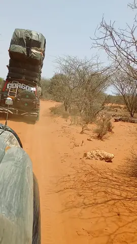 @Cali  baba 👑👑❤️❤️143 @Kar karshe 77🗡️⚔️⚔️ @Aarka____Mudug💙💯 @Af xarago 145💚💚❤️💚💚 @🔰Goodka GOR GOR🦅🦅🦅🔰🚘🚨 