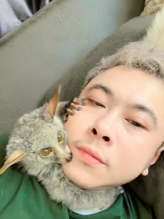 ใครก็ได้เอาไอ้ปื๊ดไปที🤣🤣🤣🤣 #หนิง #fc#ฟีดดดシ#ป้าเกมส์