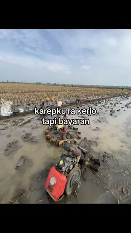 ngonoloo #mrmbik #semoyogank #timngiwomadang #madangmaidobayaran #ngiwomadangbayaran 
