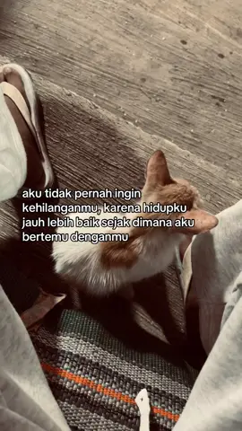 #foryoupage #4u #beranda #fyp 