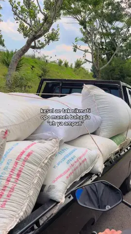 #CapCut #coffee #robusta #greancoffee #kopitemanggung 