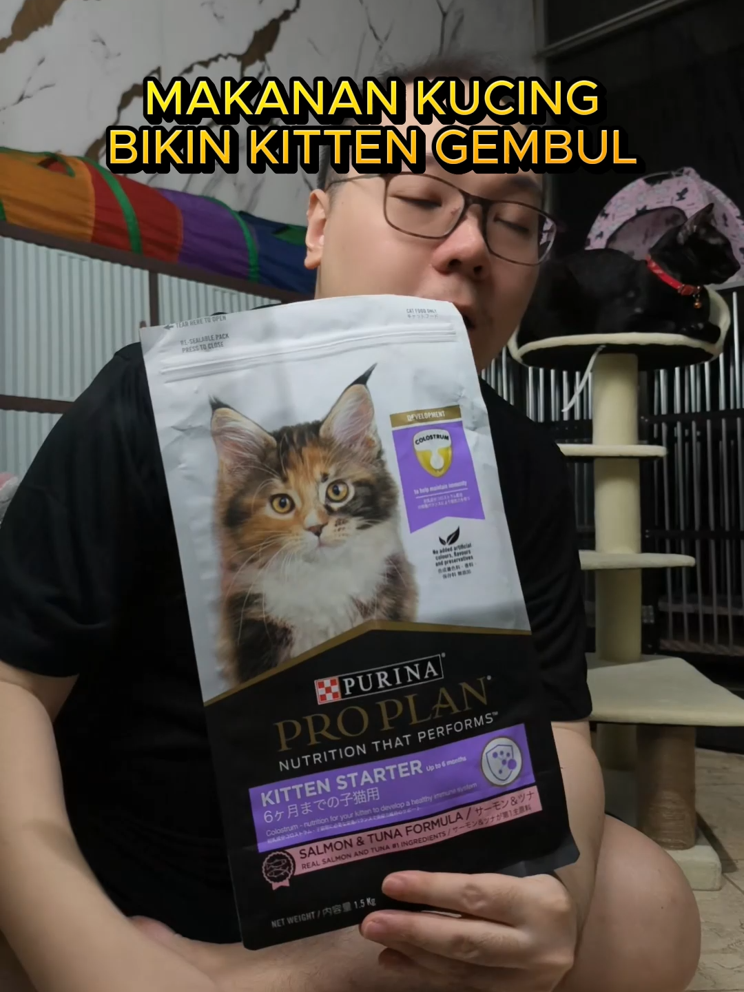 PRO PLAN Kitten Starter Salmon Tuna Makanan Kitten Kering #kucing #kitten #proplan #purina #makanankucing #dryfood