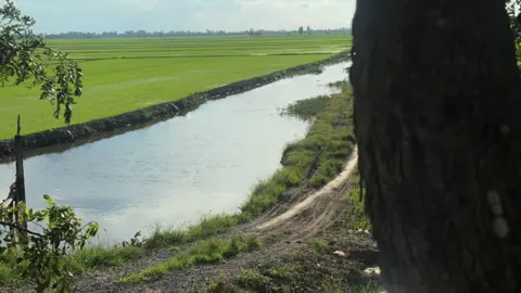 #mientay #chill #đồngtháp 