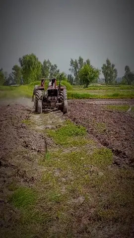 #onthisday #foryoupage❤️❤️ #foryoupage❤️❤️ #foryoupage❤️❤️ 