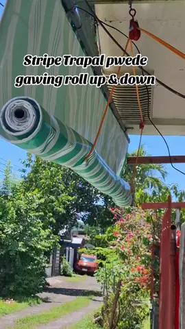 #creatorsearchinsights  #trapal  #rolluptrapal  #stripetrapal 