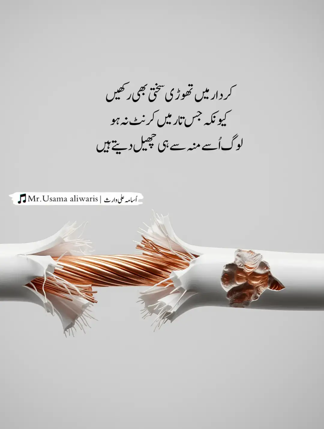 ایسی تار نہ بنیں جس کو لوگ آسانی ہی چھیل ڈالیں، بلکہ  ایسا بنیں کہ لوگ ہاتھ لگاتے بھی سوچیں #urdushayari #urdupoetry #fyp #foryoupage #foryou 