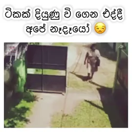 #ජෙරිකො_ric786 