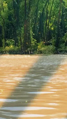 একমাত্র নাবিক ভাইরে জানে জায়গাটা কোথায় #tiktokforuoupage #🥰🥰🥰🥰🤟🤟💕💕💕 