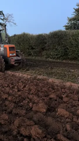 Avec le bull🚜💨💨#pourtoi#fyp#2025#labour @agriphoto29 