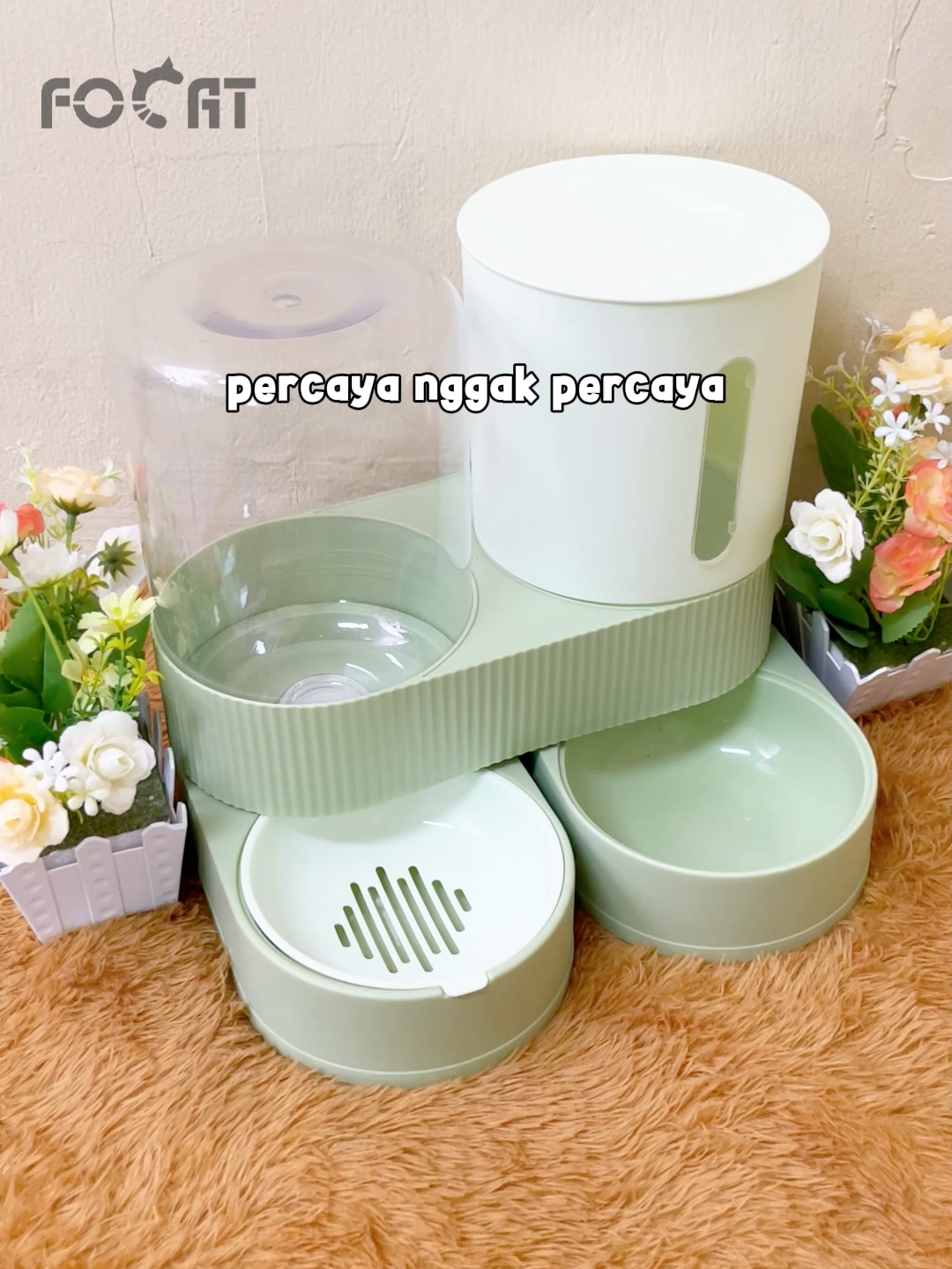 PetFeeder ini cantik dan keren bisa berputar sampai 360 derajat❤️#petfee#petfeeder #petfeederautomatic #tempatmakankucing