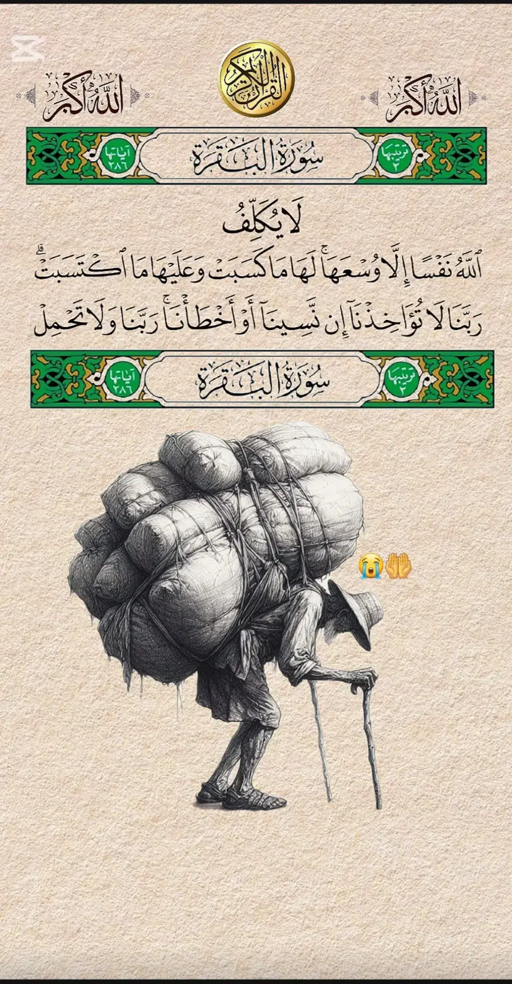 sourates baqarah لَا يُكَلِّفُ ٱللَّهُ نَفۡسًا إِلَّا وُسۡعَهَاۚ#القران_الكريم #تلاوة_خاشعة #قران #quran 