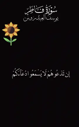 #يوسف_العيدروس #قران #بشار_القطيبي #تلاوات #قران_بصوت_يخشع_القلب 