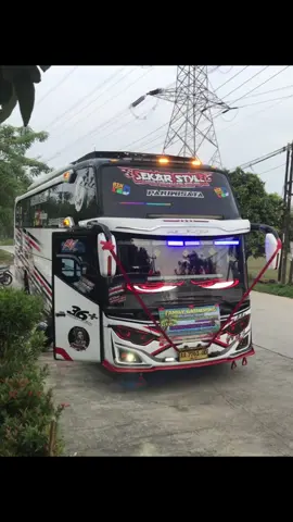 🤩#storybus #busmania #fypage#sekarstyle#au 