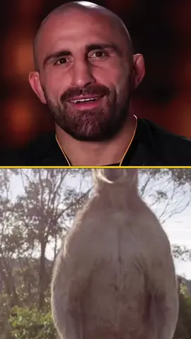 Volk And Islam VS Kangaroo #volkanovski #islammakhachev #kangaroo #boxing🥊 #mma #UFC #fyp #🔥