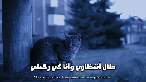 طال انتظاري وانا في رحيلي ❤️‍🩹😔 #طال_انتظاري #حسين_الاكرف #الامام_الحسين_عليه_السلام #fypシ #اكسبلور 