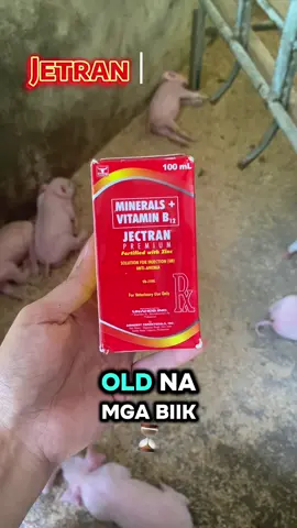 Jectran Premium with Zinc 100ml##creatorsearchinsights##affiliatemarketing##pig