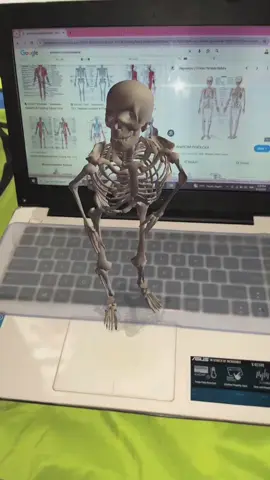 sakingg muaknya diapalin eehh keluaarr begoyangg diaa💃🏻 #anatomy #muskuloskeletal #nursingstudent #mahasiswakeperawatan #fyp 