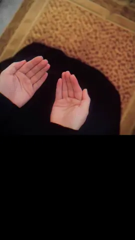 #CapCut الحمدلله على كل نعمه كانت أو هيه كائنه #الحمدلله_دائماً_وابداً💚🌧️🤲 #علي_المياحي #foryoupage #ستوريات 