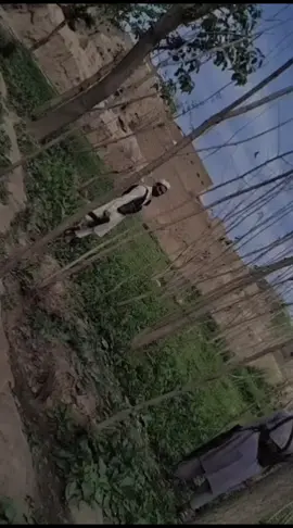 #😘😘😘😘😘 #😘😘😘😘😘 