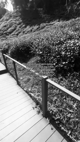 #ilovehim #fyp #quotes 