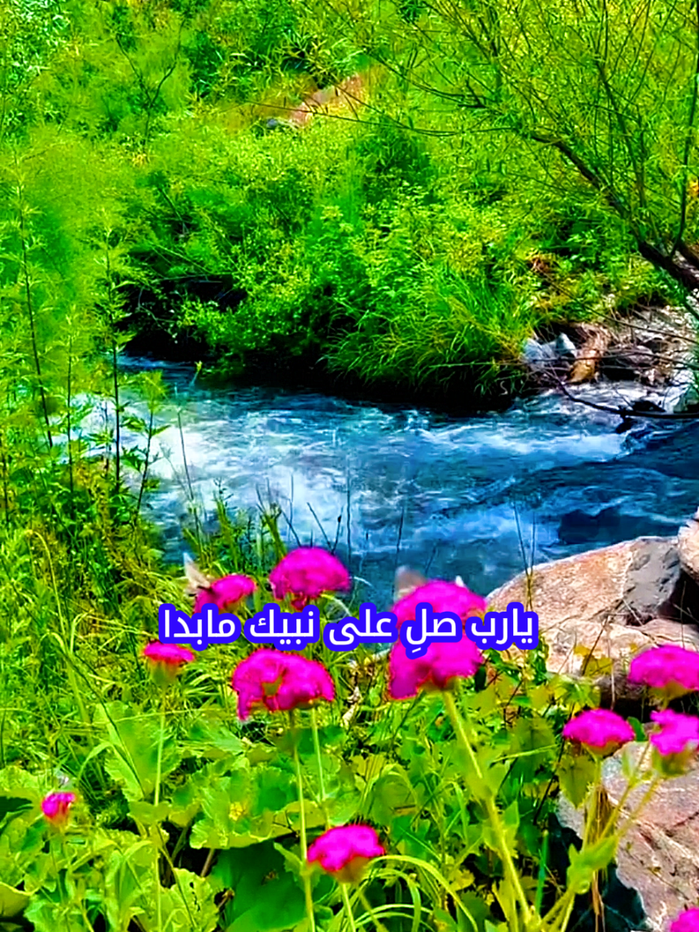 #جمعة_مباركة القارئ |توفيق_الصايغ #صلوا_على_رسول_الله #اكسبلور #تيك_توك_الصعفاني #fyp 