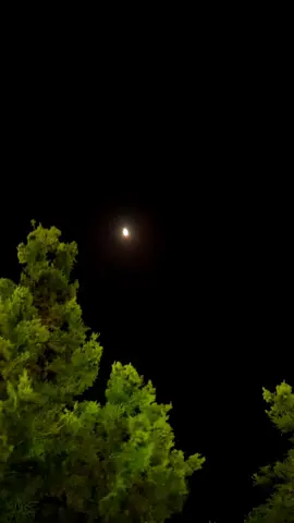 Look at me with love, ❤                  #foryou #pashto #pashtopoetry #pashtosong #repost #i9ote1 #unfreezemyacount 