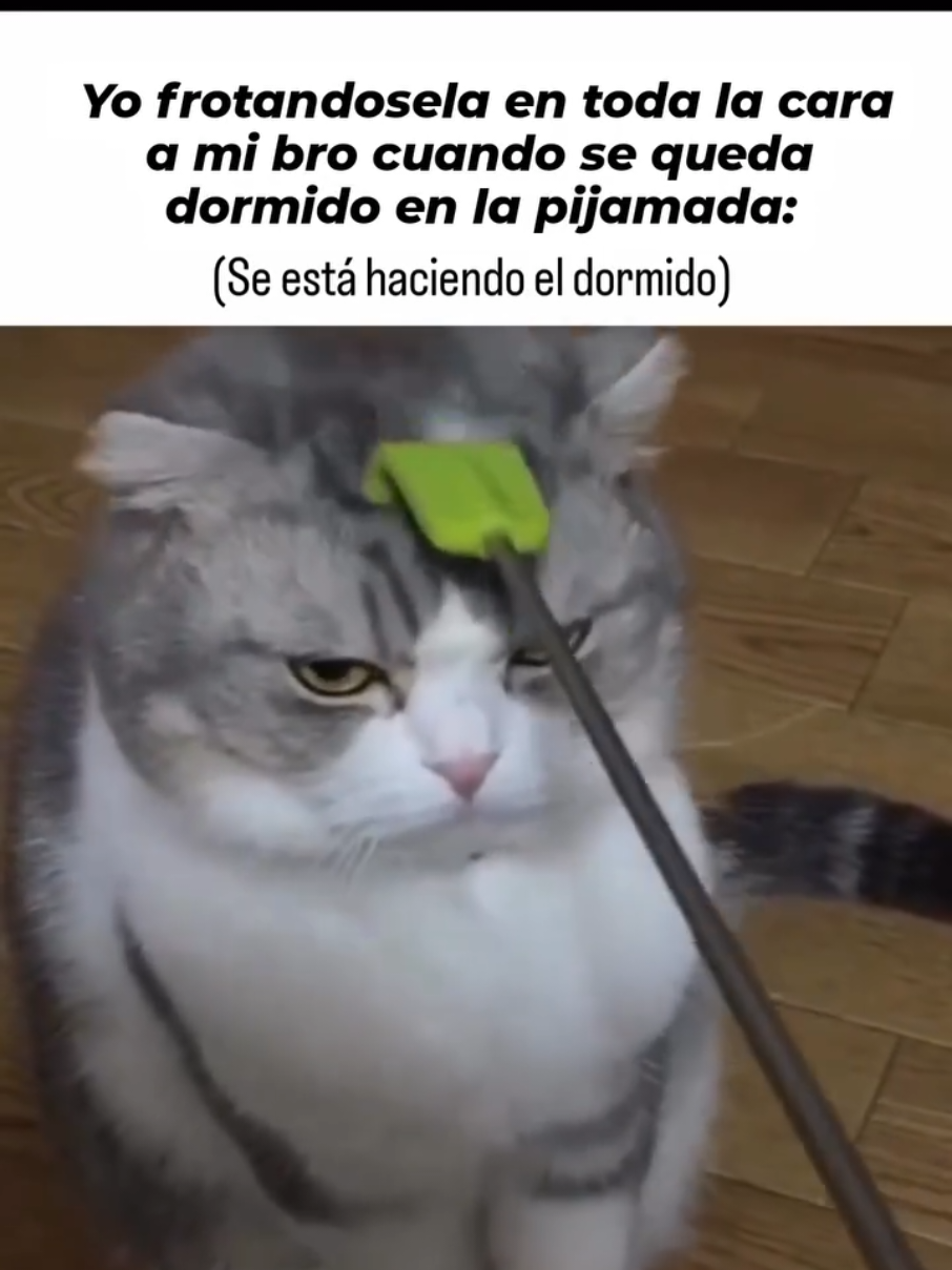 si free fire tiene un millón de jugadores, yo soy uno de ellos si free fire tiene diez jugadores, yo soy uno de ellos  si free fire tiene solo un jugador, ese soy yo y si free fire ya no tiene jugadores, es porque he muert amo a free fire, free fire es mi vida, yo vivo por free fire y morir3 por free fire . . . . #videosrandoms #shitpost #memesespañol #dankmemes #parati 