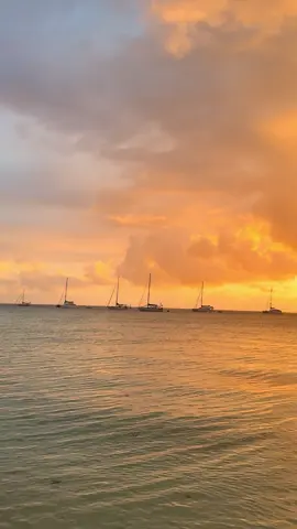 Fakarava vibes 🌅🌅🌅 #frenchpolynesia #traveltiktok #fyp 