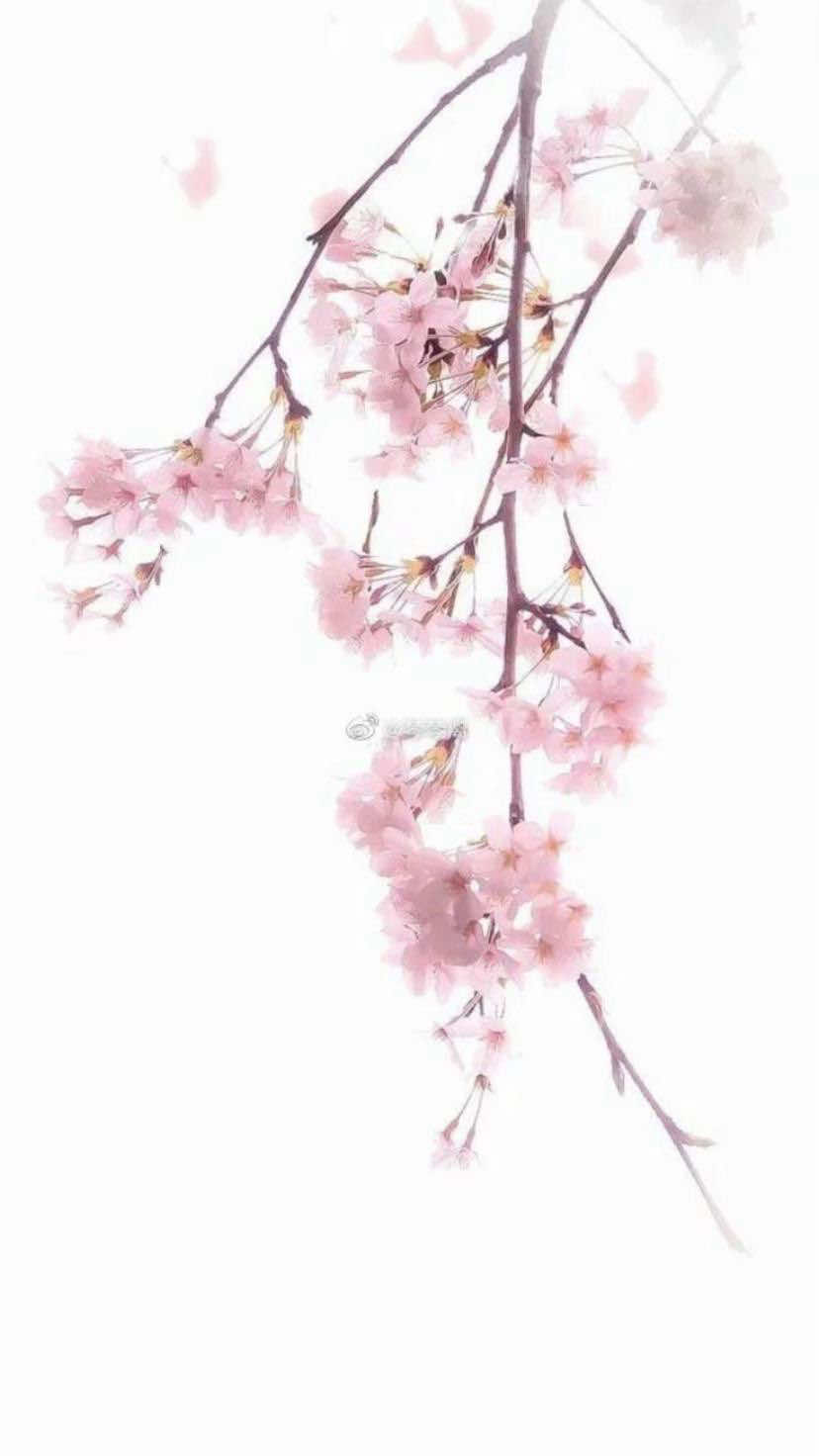 #ташкент🇺🇿 