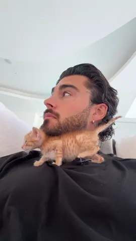 Welcome Uriel 🪽🐈