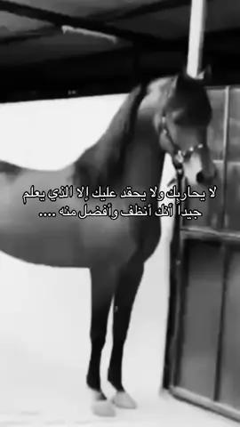 #خيل_وخياله🐎 #viral #fyp #اقتباسات #اكسبلورexplore 