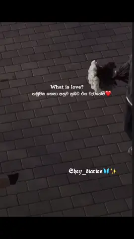 ආදරේ සුන්දරයි හරිම කෙනා හම්බුනාම🥹❤️#tiktok #viralvideo #fyppppppppppppppppppppppp #goviral #sinhalaquotes #Love #Relationship 