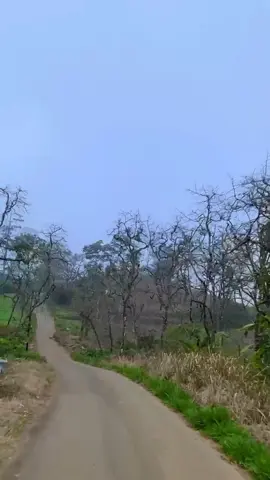 Desa di atas awan, begitu sejuk. 📍Desa Cipulus Dusun Ciinjuk, Kec.Cikijing, Majalengka #cikijing #desadiatasawan #ciinjuk #majalengka 