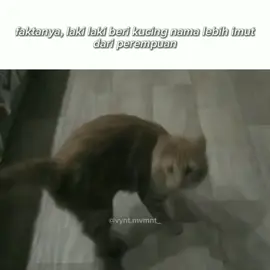 Relate🗿 #memehariini #fyp #cat #car #memekucing #pov #efyepe #katakata #realbanget #realcuy #relateable #bjir #kamis #mk #lucu #imut #meme #memes #catsoftiktok 