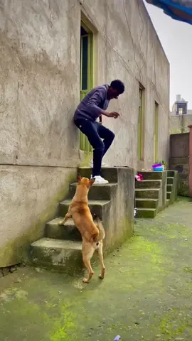 Mention them 😂 #joye_afro