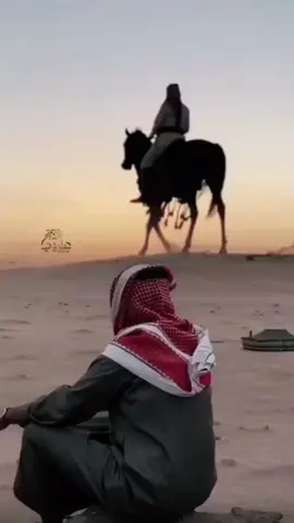 #ثامرالفاعوري تاريخ جدك مانفعك ان ترديت/#قصيدبدوي #بني_خالد #تصميم_فيديوهات🎶🎤🎬 #تصاميمي☝🏻🔥 علاوي ابو جديع/ الجمهوريه العربيه السوريه)