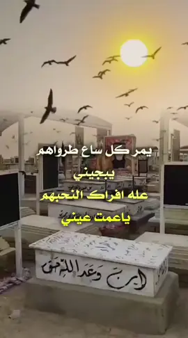 #زيادة_اهل_القبور_في_ليله -الجمعه  #اللهم -رحم-موتانا-وموتي-المسلمين #رحم-الله-روحنا-يحترق-قلبي-شوقا-لهم #الاموات_بحاجه_للدعاء  #اللهم_صل_وسلم_على_نبينا_محمد 