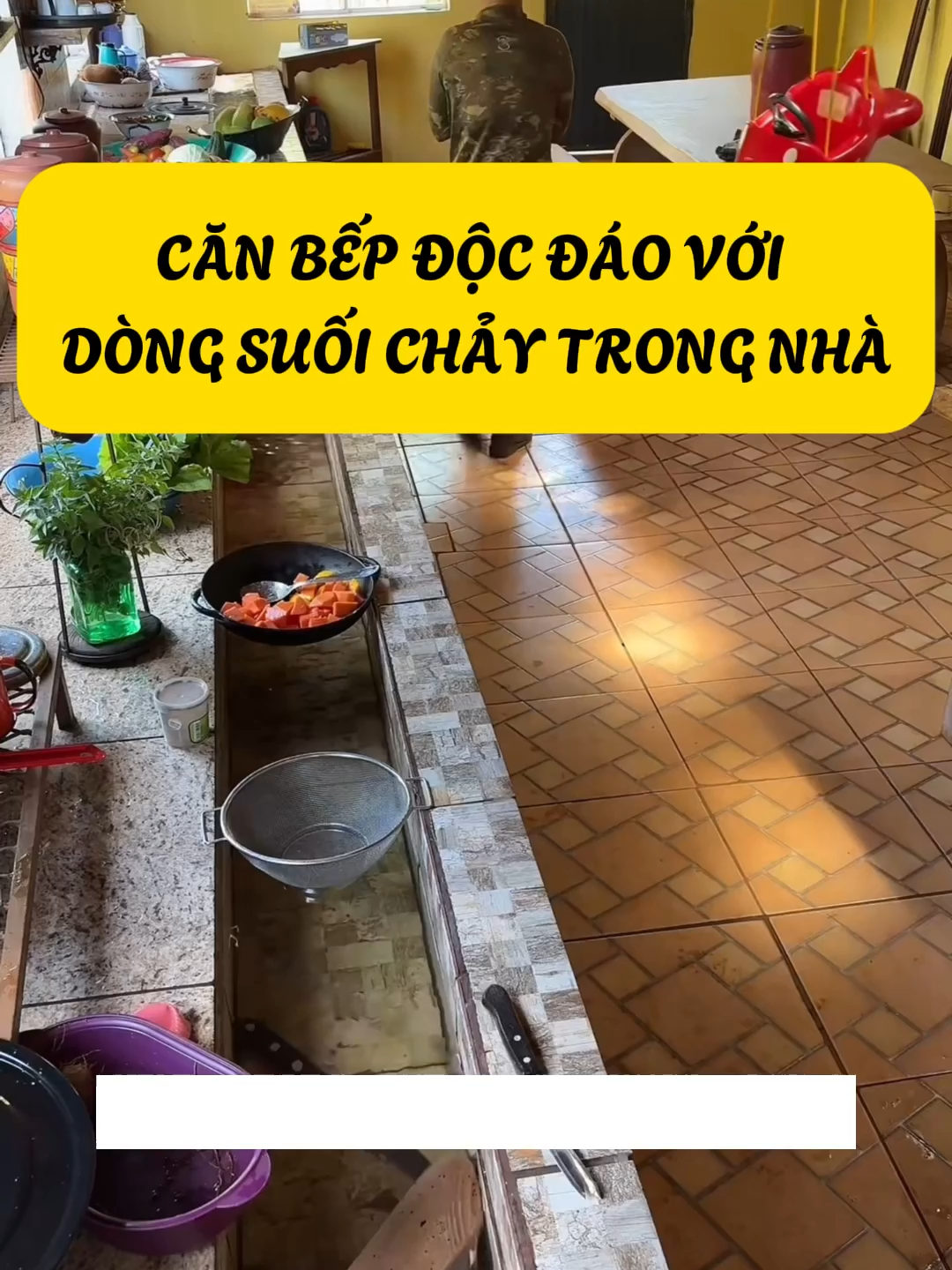 Căn Bếp Độc Đáo Với Dòng Suối Chảy Trong Nhà #cothebanchuabiet #khampha #kienthuc #thegioidongvat